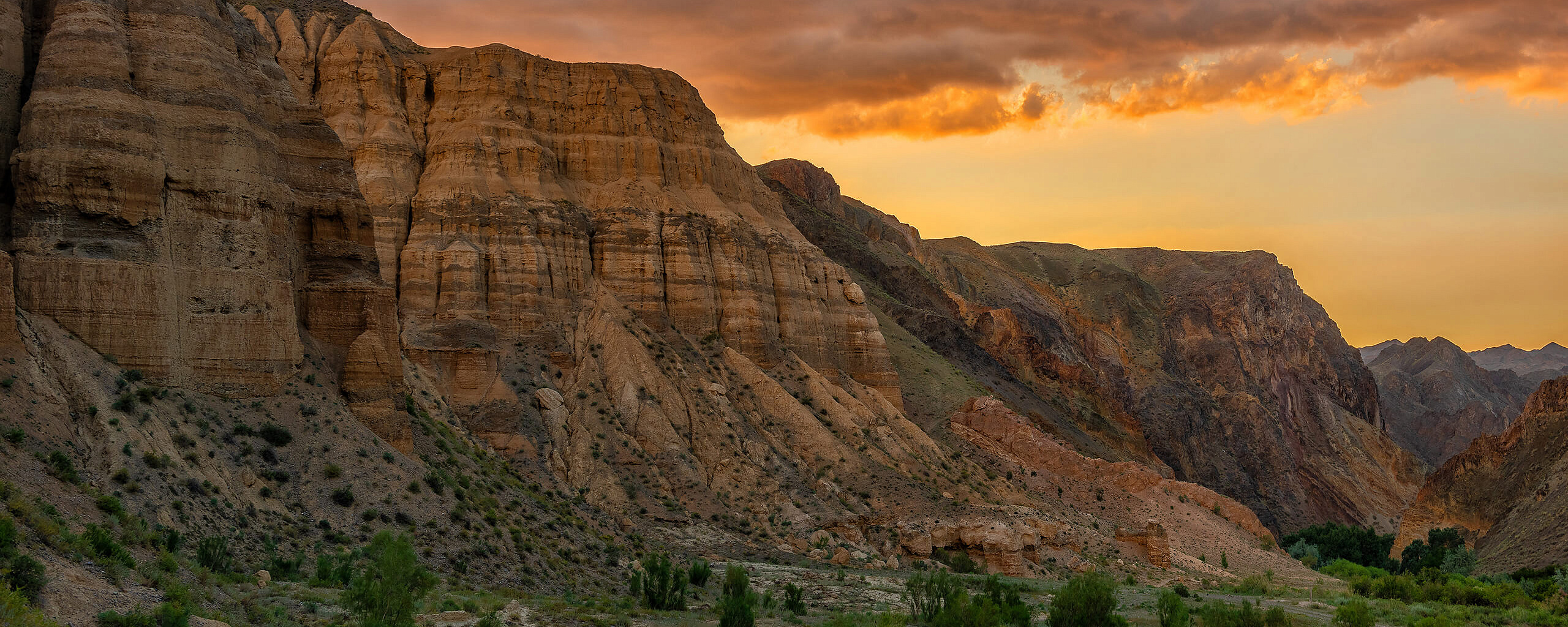 Направления деятельности: